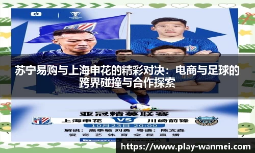 苏宁易购与上海申花的精彩对决：电商与足球的跨界碰撞与合作探索